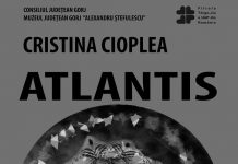 Astăzi, vernisaj al artistei Cristina Cioplea, la Muzeul Județean Gorj