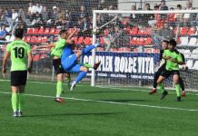 Primul amical pentru panduri