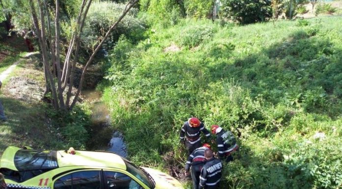 Doi răniți, într-un accident spectaculos la Cătunele