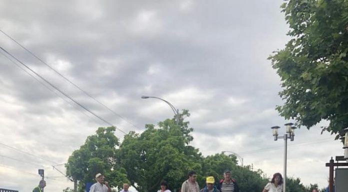 Excursie în județul Mehedinți, organizată de DGASPC Gorj