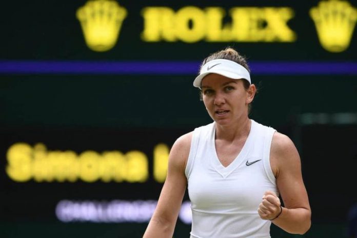 66456733_2331558950269102_5424159591627751424_n