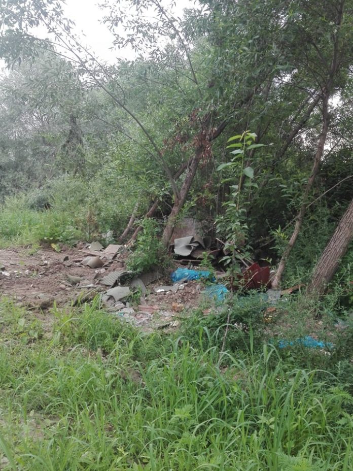 66646669_207777683460608_5842284282915061760_n