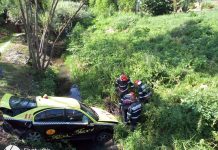 Accident la Lupoaia
