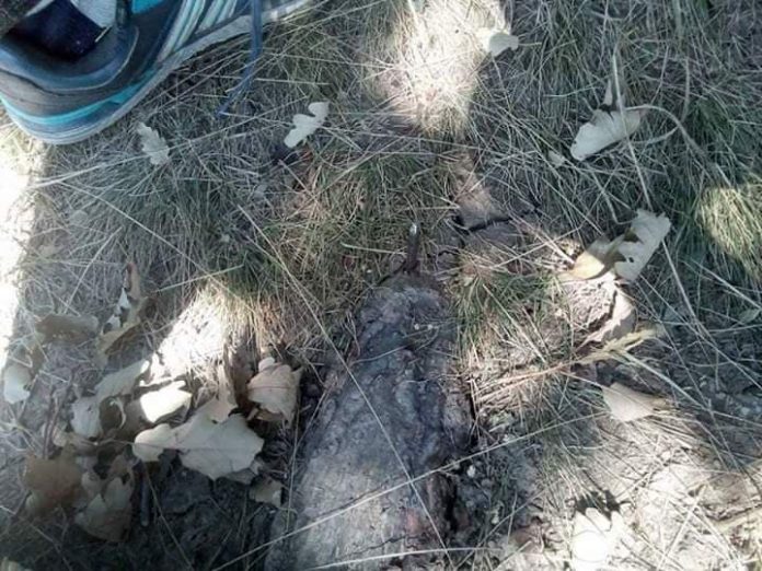 67523908_430627440870970_3995322477323485184_n