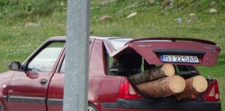 Lecție de matematică, pentru turiștii de la Peștera Muierilor: Cât lemn de foc pot încărca doi indivizi, într-un portbagaj de Dacia, ziua în amiaza mare?