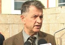 Secretarul de stat Vişan, eliberat din funcţie