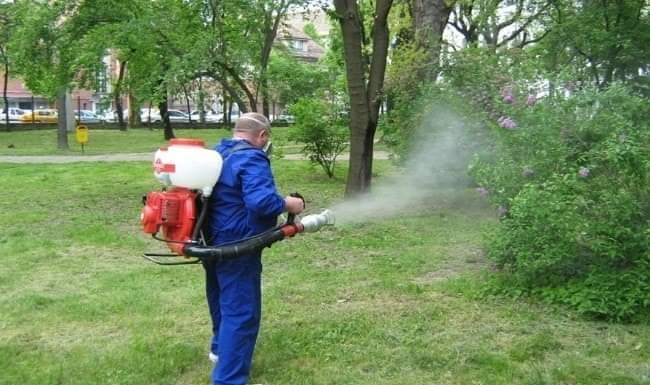 Începe dezinsecția la Rovinari!