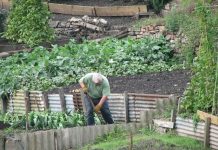 Aviz fermierilor gorjeni!