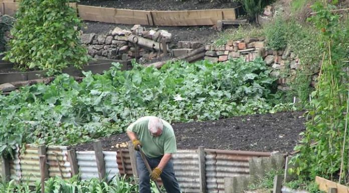 Aviz fermierilor gorjeni!