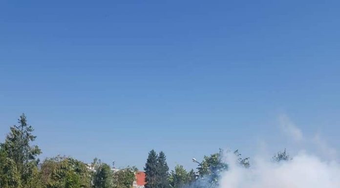 FOTO: Acțiune de dezinsecție, la Motru