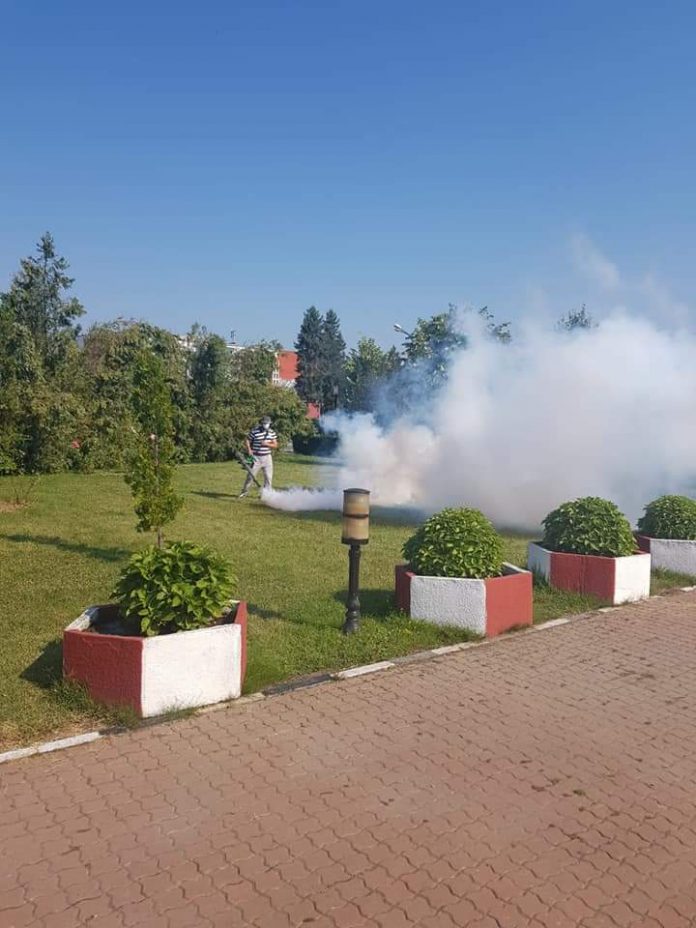 FB_IMG_1563820388595