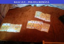 Percheziții la o grupare infracţională specializată în falsificarea de euro: ,,A acționat și pe raza județelor Gorj și Olt”