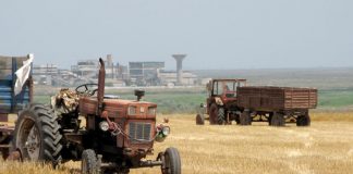 Agricultura pe înțelesul tuturor – În curând trebuie înființate noile culturi furajere perene (I)