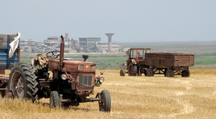 Agricultura pe înțelesul tuturor – În curând trebuie înființate noile culturi furajere perene (I)