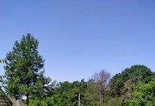 Șase serii de tineri din străinătate, în tabăra de la Săcelu, prin ARC 2019