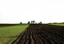 Agricultura pe înțelesul tuturor – Asolamentele – ajutoare gratuite pentru fermieri
