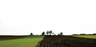 Agricultura pe înțelesul tuturor – Asolamentele – ajutoare gratuite pentru fermieri