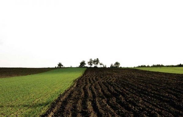 Agricultura pe înțelesul tuturor – Asolamentele – ajutoare gratuite pentru fermieri