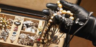 Hoți prinși în flagrant la Târgu-Jiu