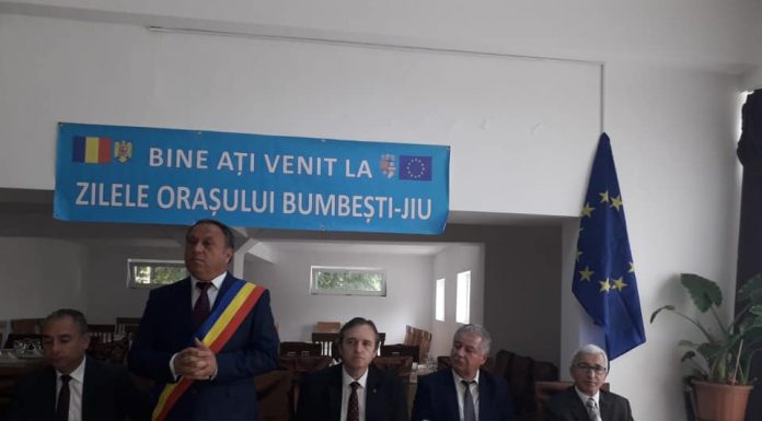 Primar PNL: Vîlceanu este într-o mare eroare