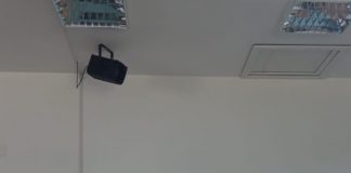 Noi premii la ediția a XI-a a Festivalului ,,Ciuperceni – Plai de cântec și de dor”