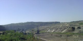 CE Oltenia taie peste 100 de hectare de pădure. „După 10 ani de așteptări”