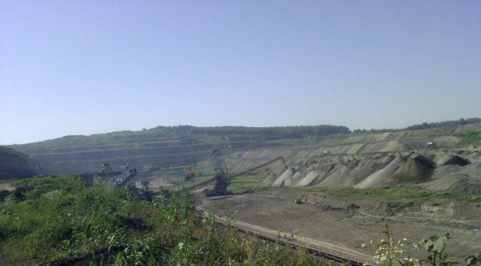 CE Oltenia taie peste 100 de hectare de pădure. „După 10 ani de așteptări”