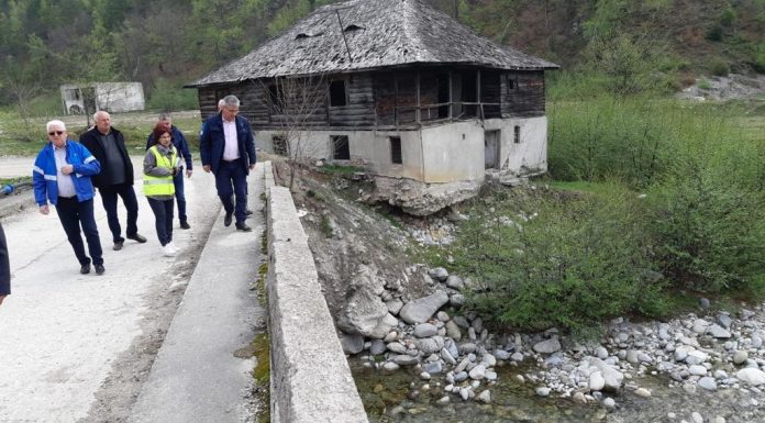 Noi vizite ministeriale în Gorj