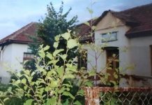 Primarul Pîrjol de la Văgiulești minte în adresele trimise prefectului pentru un loc de joacă plin de buruieni