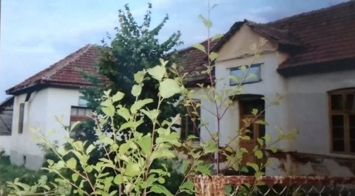 Primarul Pîrjol de la Văgiulești minte în adresele trimise prefectului pentru un loc de joacă plin de buruieni