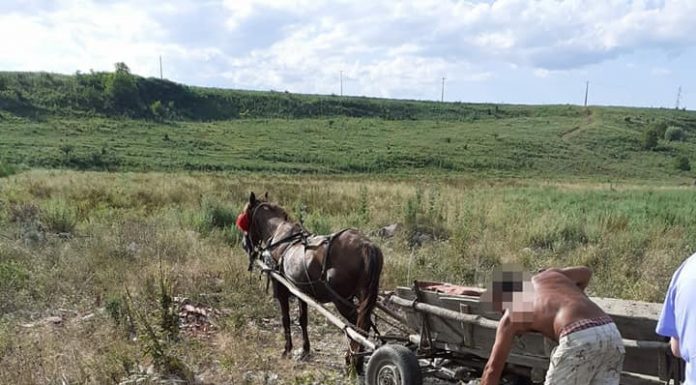 Avertisment al Primăriei Târgu-Jiu!