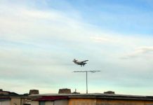 Dezinsecție aeriană, la Târgu-Jiu