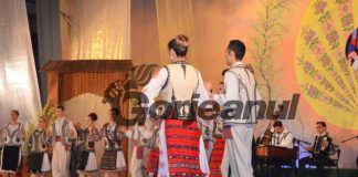 Ansamblul ,,Doina Gorjului” caută șofer și instrumentist