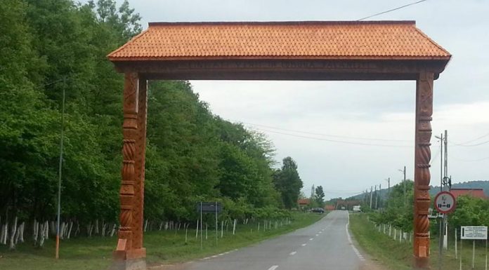 Licitaţie pentru reabilitarea DJ 665A