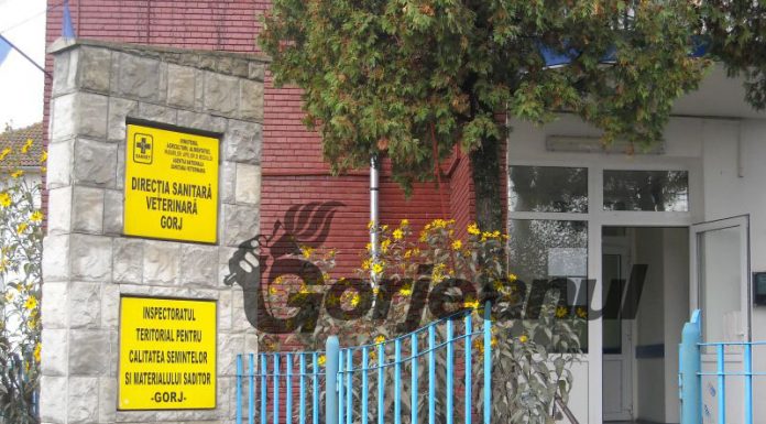 Se sistează lucrul cu publicul și la DSVSA Gorj