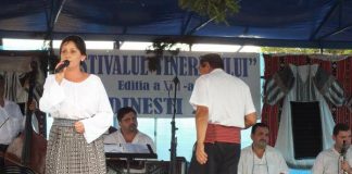 Pregătiri pentru Festivalul Tineretului