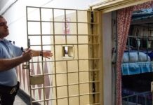 Eliberați după ce s-au bătut în târgul de animale