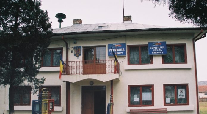 Post vacant de inspector, la Primăria Crușeț
