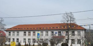 Profesoara de la Bîlteni, lăsată fără catedră, a câștigat recursul la Curtea de Apel Craiova!