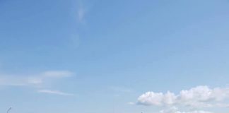 Vîlceanu vrea viceprimar la Băleşti. Primar: Mă opun