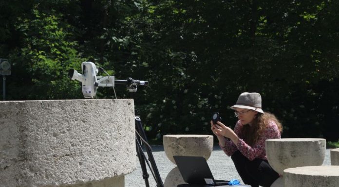 Operele lui Brâncuși, scanate cu laserul