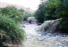 De la Cantonul Bâlţii pe „drumul de sub munte”