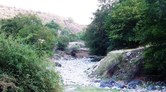 De la Cantonul Bâlţii pe „drumul de sub munte”