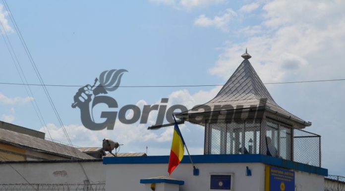Penitenciarul Târgu-Jiu: 25 de deținuți au votat cu urna mobilă la alegerile locale