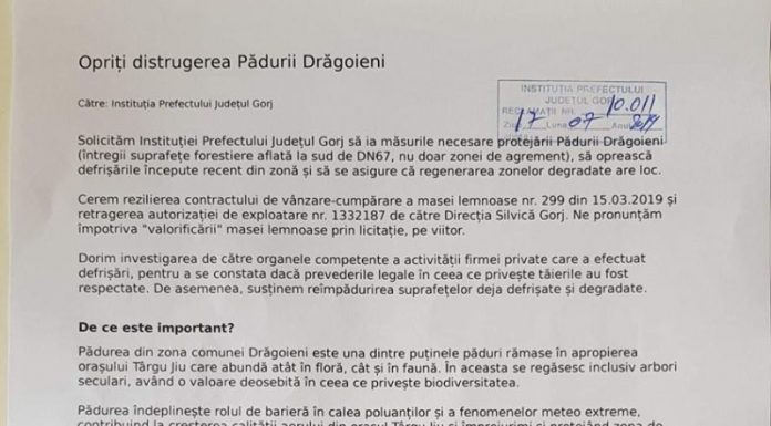 Petiția lansată pentru oprirea defrișărilor din pădurea Drăgoieni, depusă la Prefectura Gorj