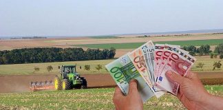 Micii fermieri gorjeni au la dispoziție varianta finală a ghidului pentru obținerea unei finanțări nerambursabile de 15.000 de euro