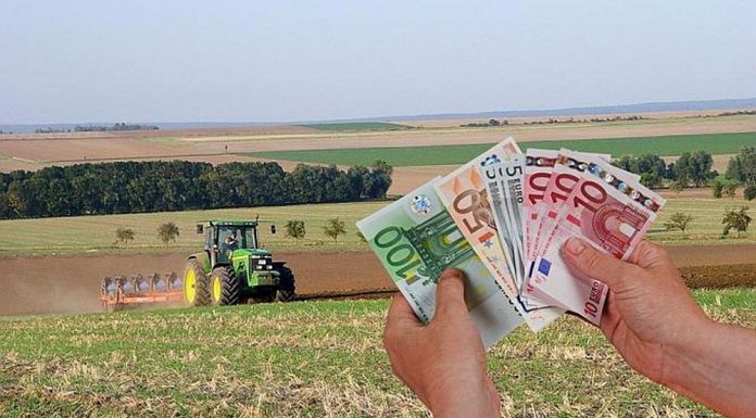 Aviz fermierilor gorjeni! Noi finanțări puse la bătaie de azi
