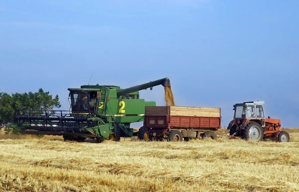 Agricultura pe înțelesul tuturor – Graficul lucrărilor agricole în luna august