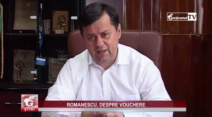 ROMANESCU, DESPRE VOUCHERE