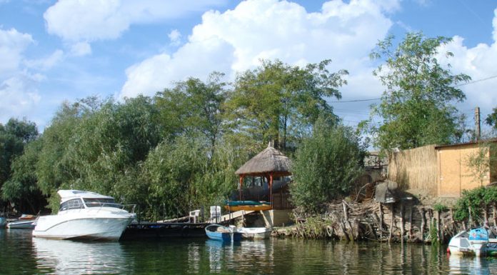 Birdwatching – una dintre activitatile perfecte in excursiile in Delta Dunarii